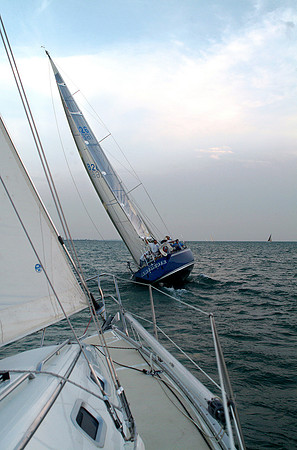 Wings On Water