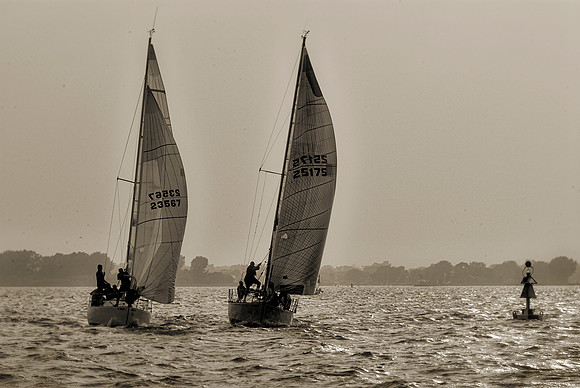 Wings On Water